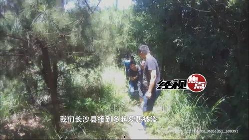 长沙盗墓贼自己爆料视频,揭秘古墓盗掘黑幕